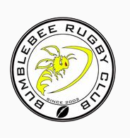 You are currently viewing BUMBLE BEE RC