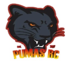 You are currently viewing Pumas RC