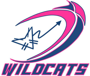 You are currently viewing Wildcats RC